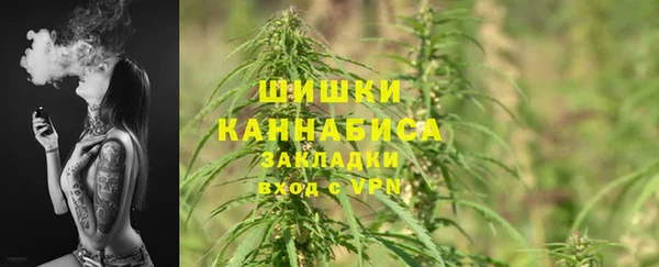 экстази Бородино