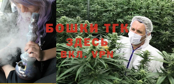 экстази Бородино